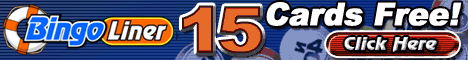 Bingo Liner Casino